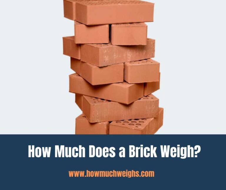 How Much Does a Brick Weigh?