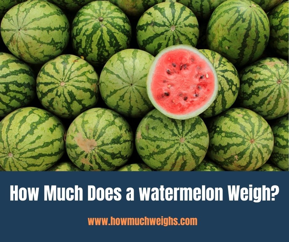 How Much Does a watermelon Weigh?