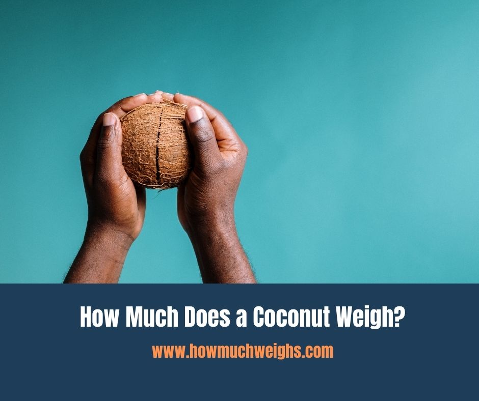 How Much Does a Coconut Weigh