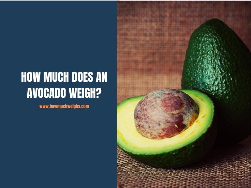 How Much Does an Avocado Weigh?