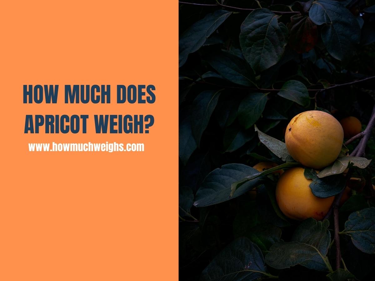 How Much Does Apricot Weigh?