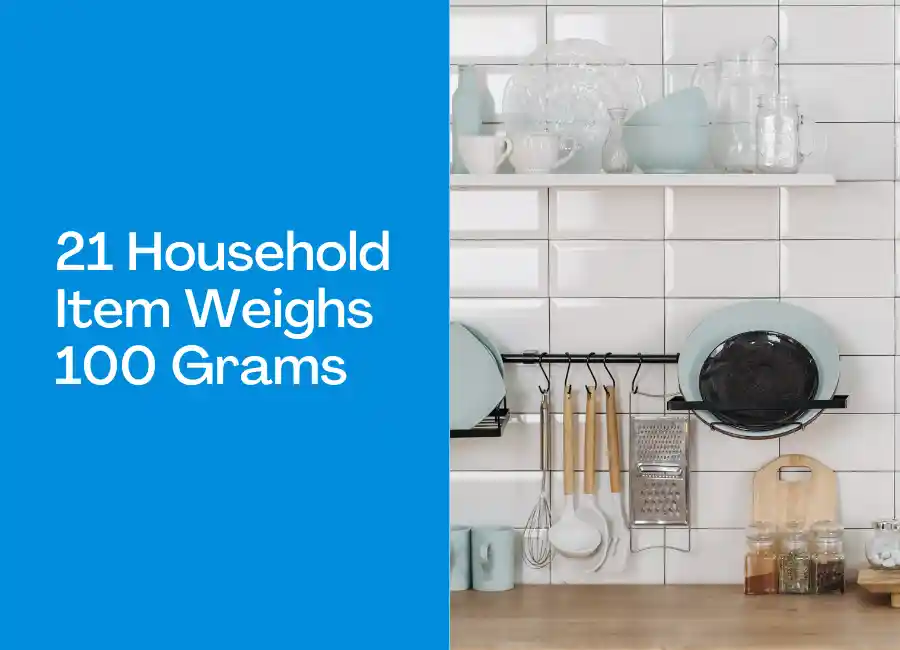 21 Household Item Weighs 100 Grams
