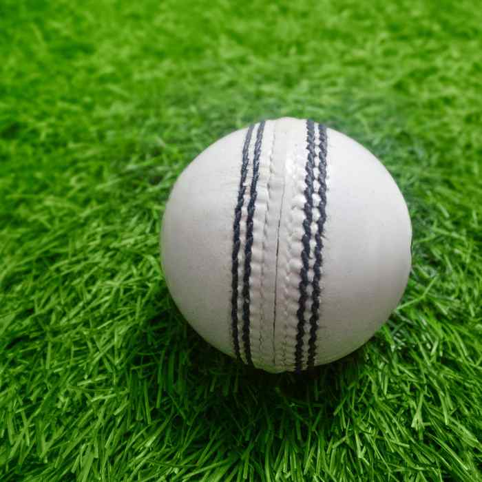 2 Cricket Balls
