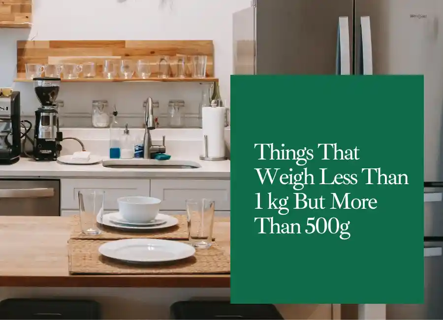 Things That Weigh Less Than 1 kg But More Than 500g
