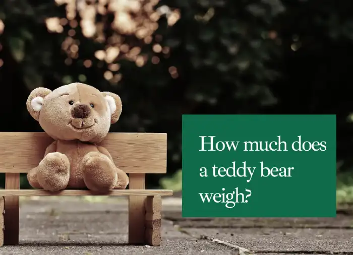 how much does a teddy bear weigh
