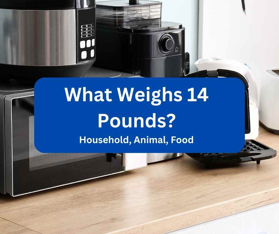 What Weighs 14 Pounds
