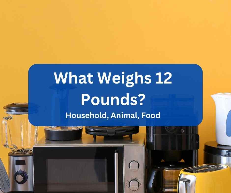 what weighs 12 pounds