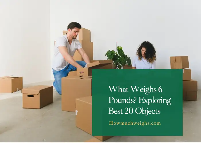 What Weighs 6 Pounds Exploring Best 20 Objects